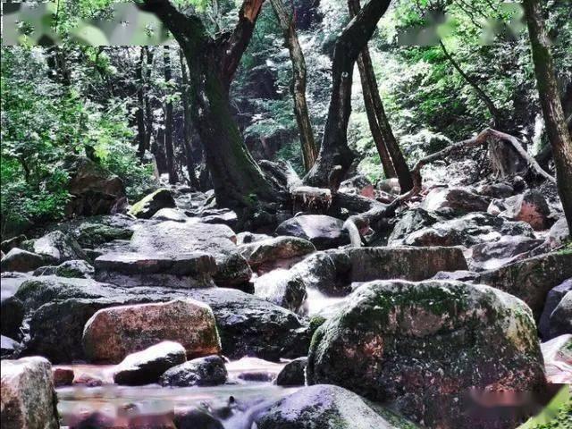 救援旅行男孩
