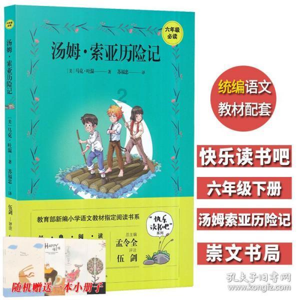 强大的狮子拼图